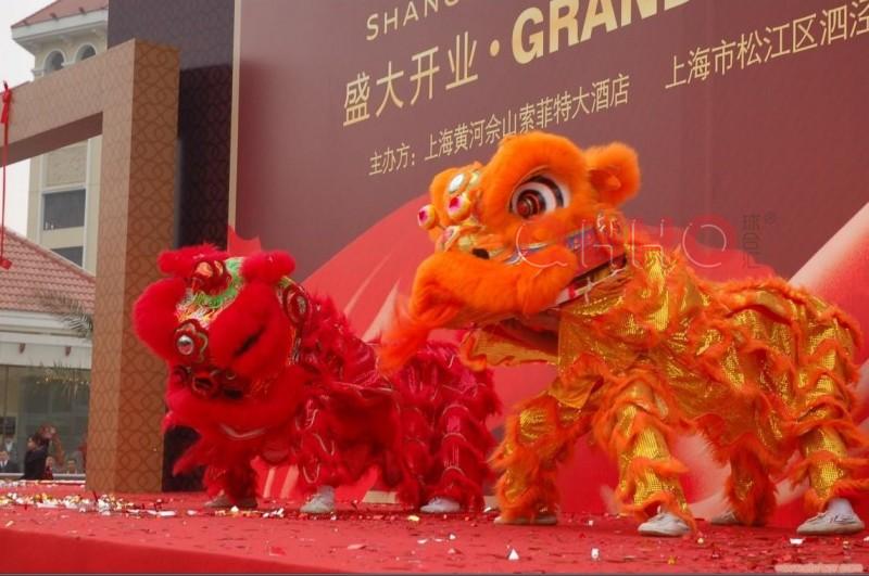武侯区舞龙舞狮电话 中国龙狮庆典 武侯区舞龙舞狮电话 中国龙狮庆典