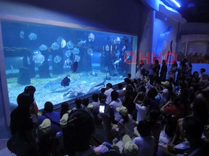 成都海洋节鱼缸展览讲解如何防止海狮腹泻