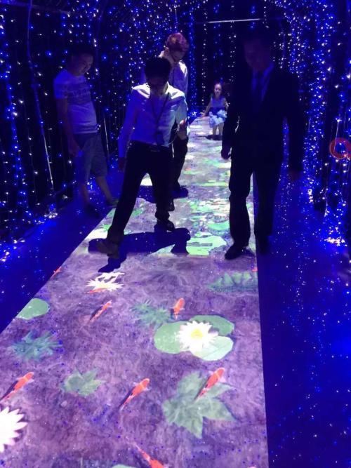 阿里夜游项目咨询型号-灯光节制作 阿里夜游项目咨询型号