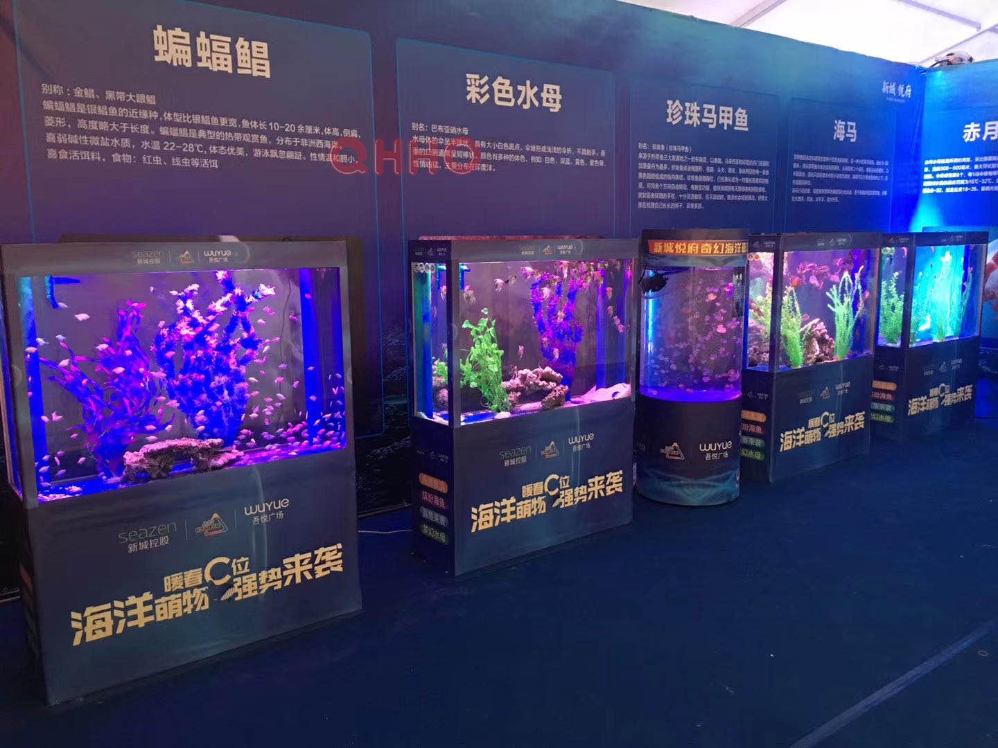 海洋展欢迎前来咨询达州海洋生物展制作