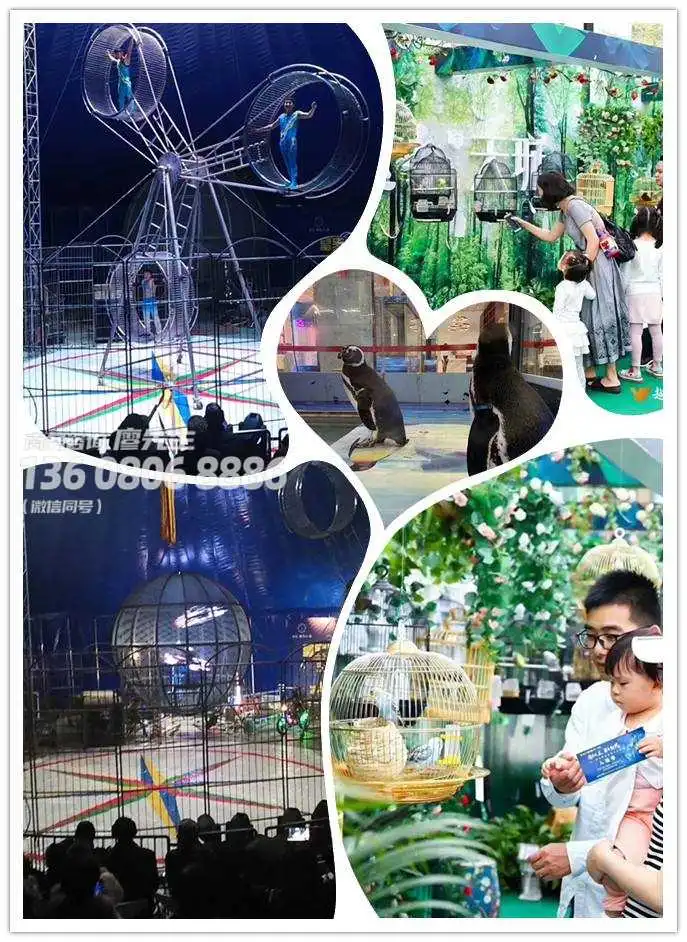 宜宾水母展租赁长期供应2022已更新(今日/动态)