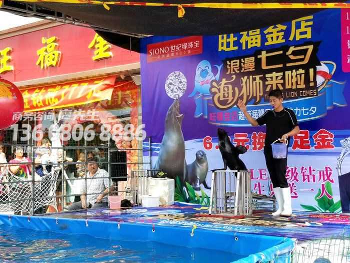 濮阳哪里有海狮表演出租承接各类活动）商场暖场活动2022已更新（今日/图片）
